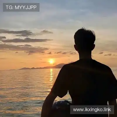 韶靓影